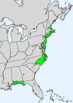 Areál rozšíření