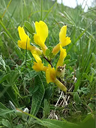 alternativní popis obrázku chybí