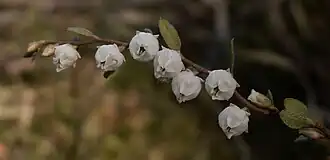 alternativní popis obrázku chybí