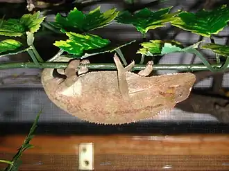 alternativní popis obrázku chybí