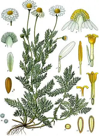 alternativní popis obrázku chybí