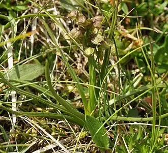 alternativní popis obrázku chybí