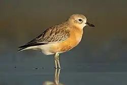 alternativní popis obrázku chybí