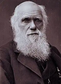 Charles Darwin, 1881
