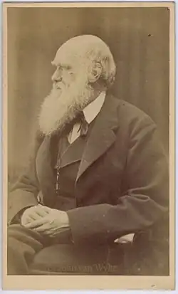 Oscar Gustav Rejlander: Charles Darwin, 1871