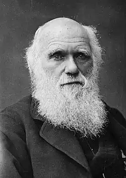 Charles Darwin (1881)