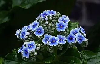 alternativní popis obrázku chybí