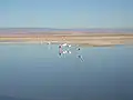 Salar de Atacama