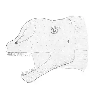 alternativní popis obrázku chybí