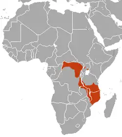 rozšíření bércouna skvrnitého