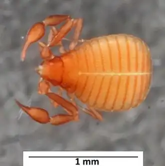 alternativní popis obrázku chybí