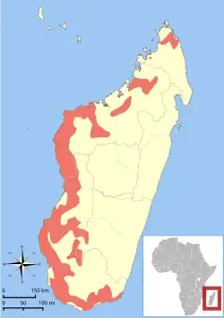 Areál rozšíření