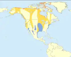 Mapka s rozšířením modře – hnízdiště oranžově – zimoviště