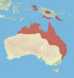 Červeně vyznačený areál rozšíření panenky hnědoprsé