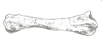 alternativní popis obrázku chybí