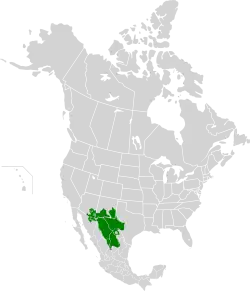 Poloha Čivavské pouště na mapě Severní Ameriky