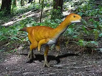 alternativní popis obrázku chybí