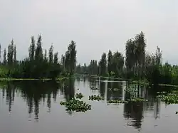 kanály a ostrovy chinampas