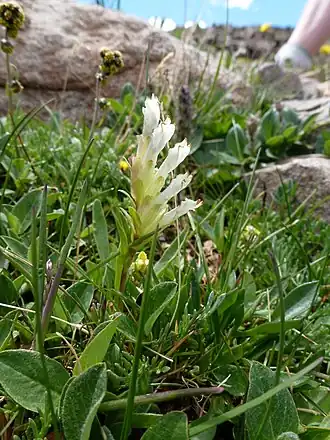 alternativní popis obrázku chybí