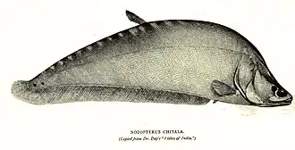 alternativní popis obrázku chybí