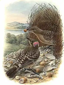 alternativní popis obrázku chybí