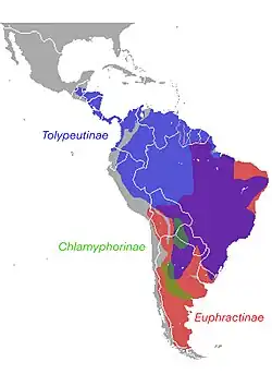 Areál rozšíření jednotlivých podčeledí