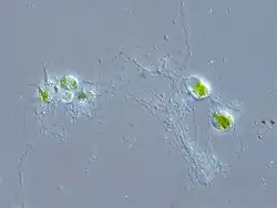 alternativní popis obrázku chybí