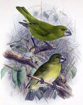 alternativní popis obrázku chybí