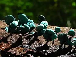 alternativní popis obrázku chybí