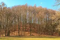 Chlum (Svitavská pahorkatina)