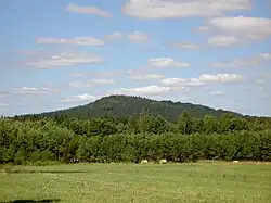 Pohled na vrch ve směru od Ludvíkova pod Smrkem