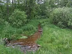 Potok pod rybníkem Velká Kamenice