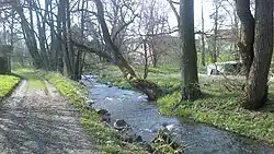 Chocenický potok ve Vlčicích