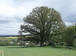 Chocenický drnák - pohled od západu