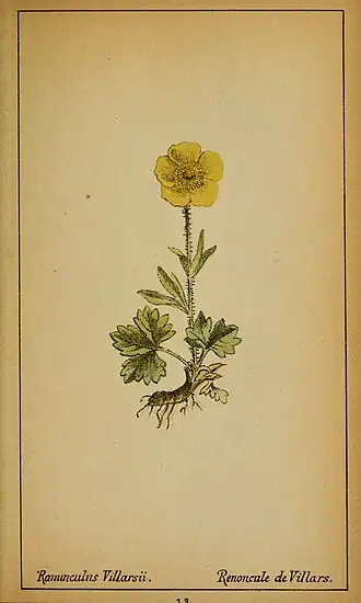 alternativní popis obrázku chybí