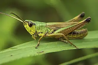 alternativní popis obrázku chybí