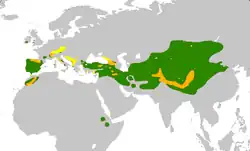 Areál rozšíření