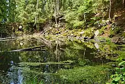 Jezírko ve starém lomu