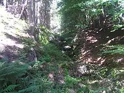 Chrastický potok, rokle v horní části toku