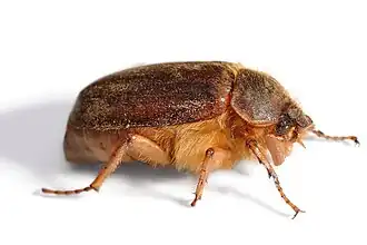 alternativní popis obrázku chybí