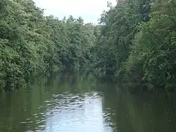 Chrudimka v Pardubicích