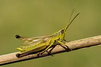 alternativní popis obrázku chybí