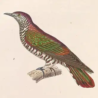 Jean-Gabriel Prêtre a Nicolas Huet the Younger, 1838