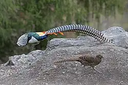 alternativní popis obrázku chybí