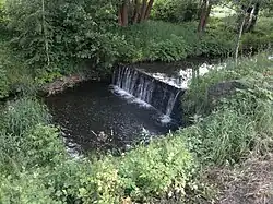 Chuchelský potok nad ústím do Jizery