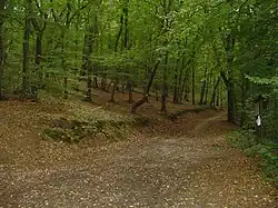 Cesta Chuchelským hájem z Malé Chuchle