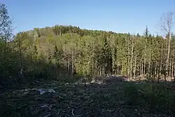 Pohled od jihozápadu z turistické stezky od Hamerova kříže k rozcestí Údolí vzdechů