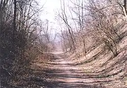 Těleso zrušené trati v zářezu u Chudčic