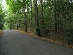 Zídka tzv. bažantnice