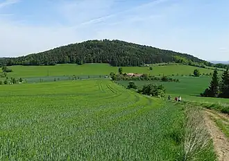 Odbočka na Budákův kopec před Neveklovem, u silnice bývalý zájezdní hostinec Roháč, v pozadí Neštětická hora (2015)